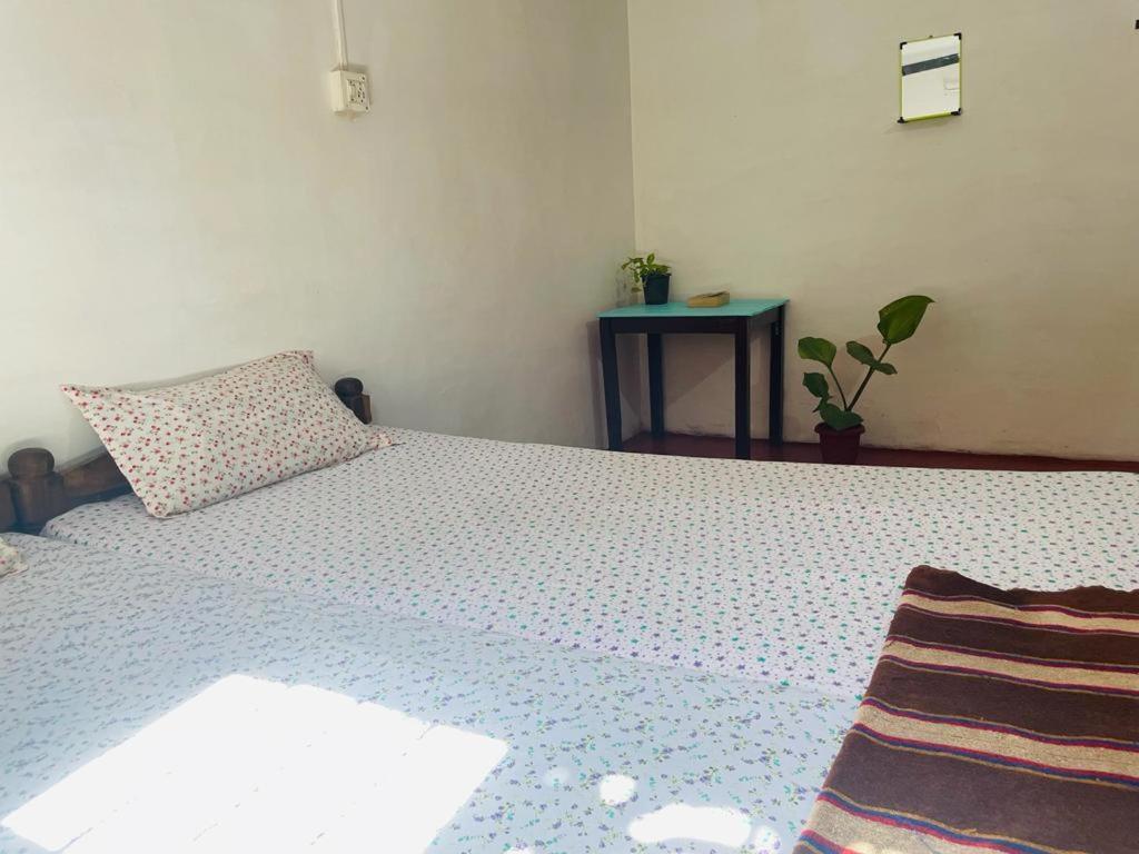 Blues Apartment Alappuzha Ngoại thất bức ảnh